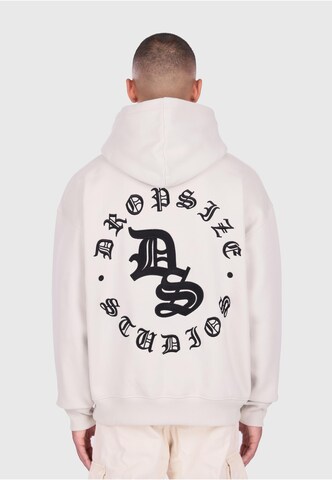 Dropsize Sweatshirt in Grau: Vorderseite