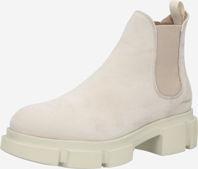 Boots chelsea Copenhagen di colore beige, Visualizzazione prodotti
