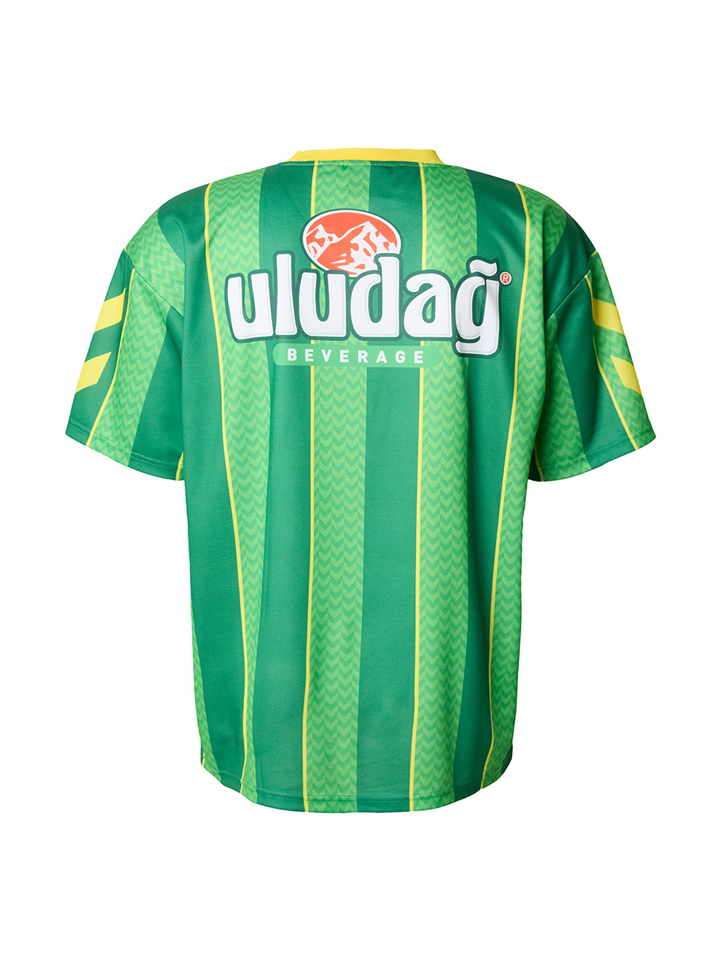 Hummel Jersey 'Uludag' in Mixed colors