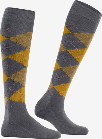 BURLINGTON Over the Knee Socks 'Whitby' in Grey: front