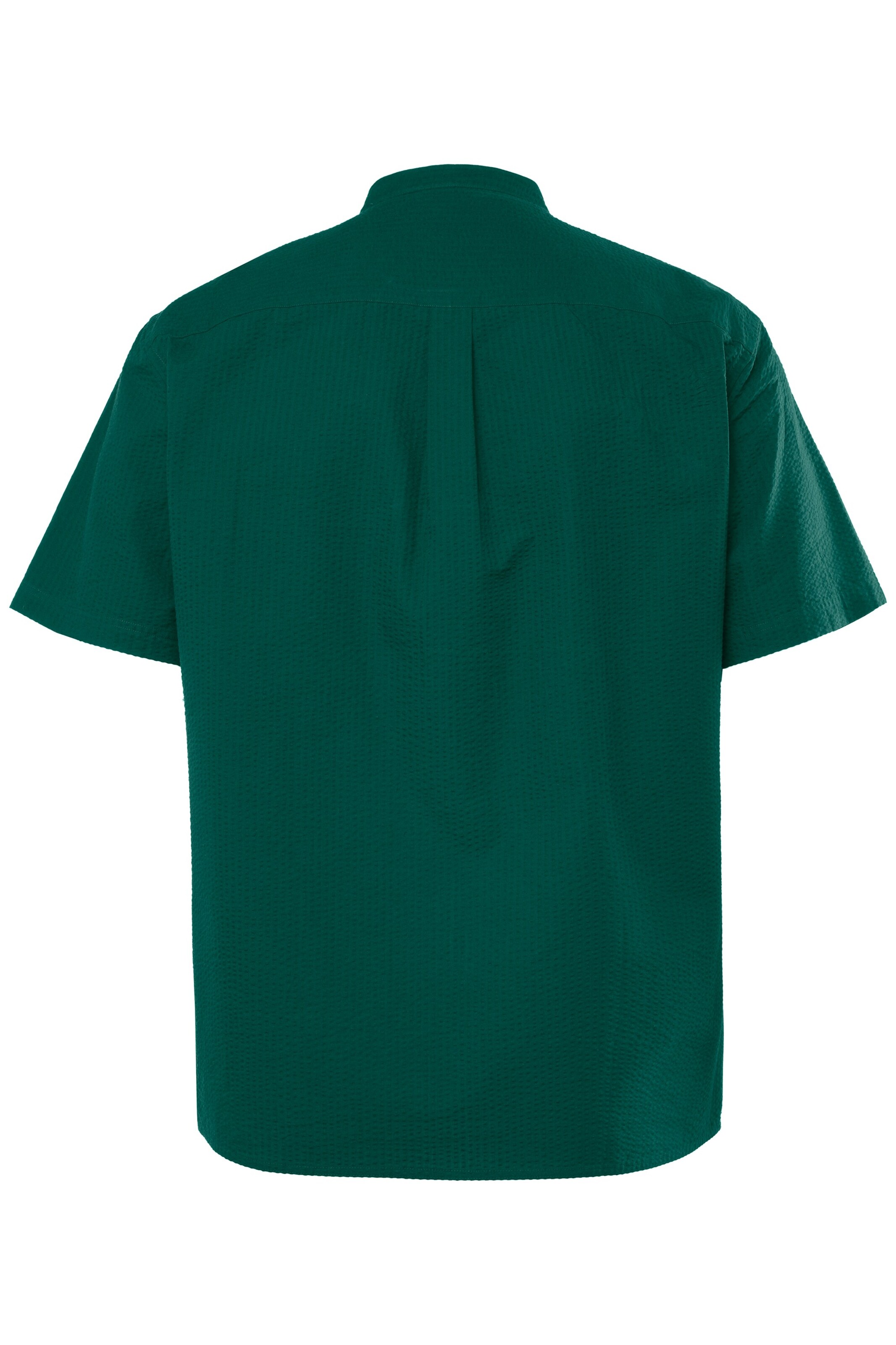 Men Plus Regular fit Button Up Shirt in Green