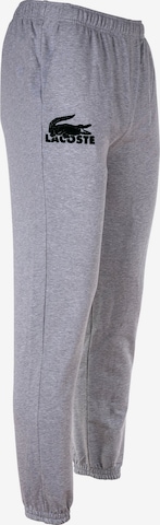 Effilé Pantalon LACOSTE en gris