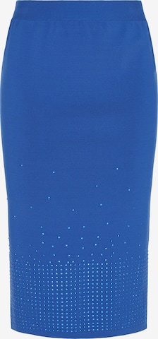 mėlyna faina Sijonas 'Fashion Look': priekis