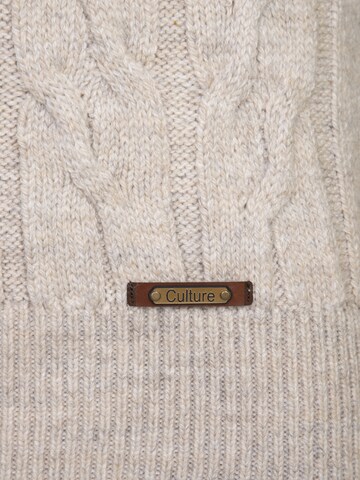 DENIM CULTURE Sweater in Beige