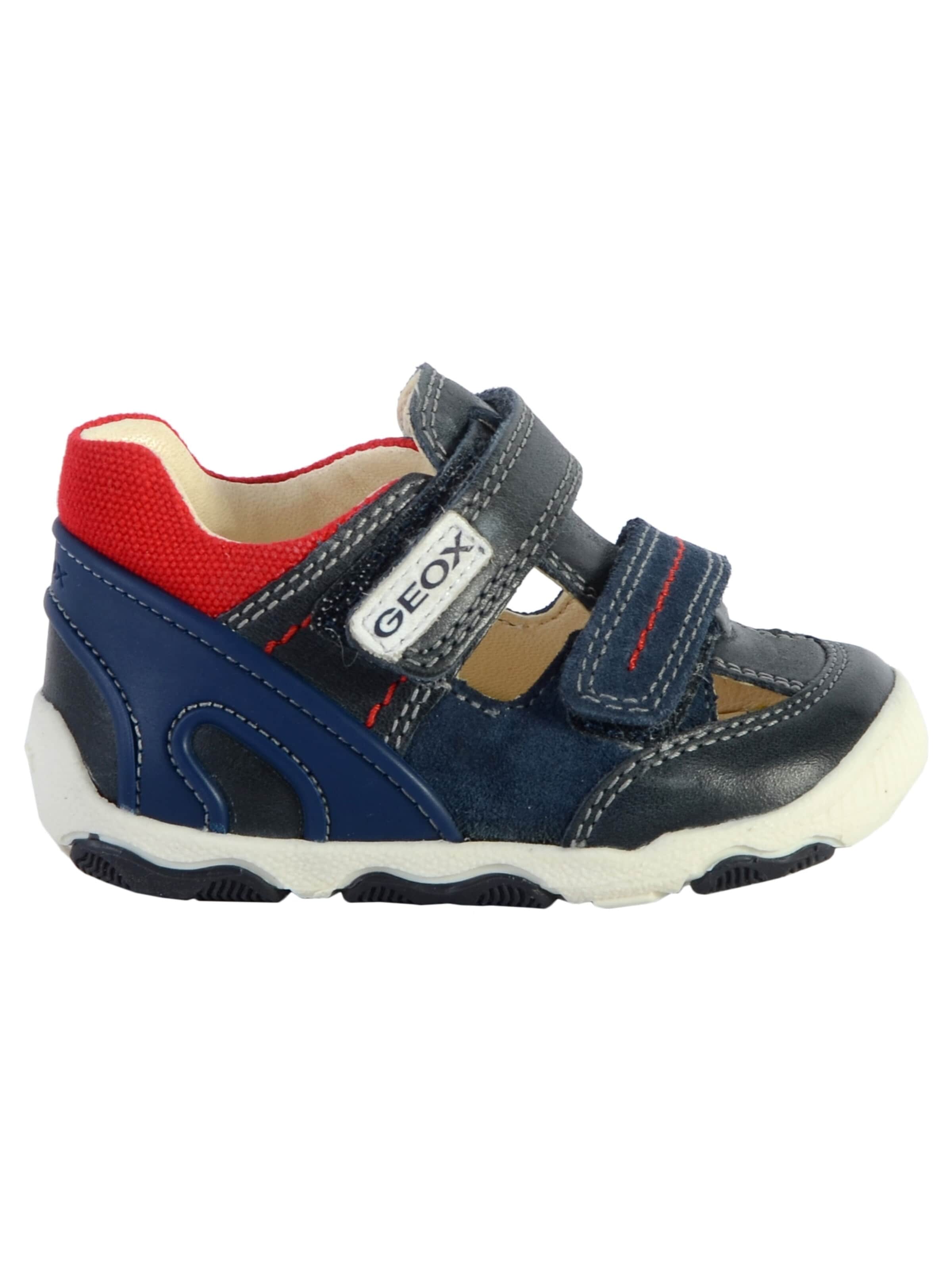 GEOX Sneakers in Blue