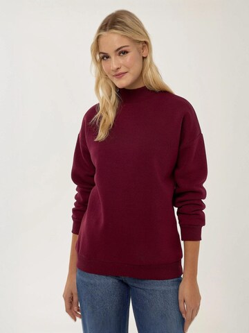 Hiccup Sweatshirt in Rot