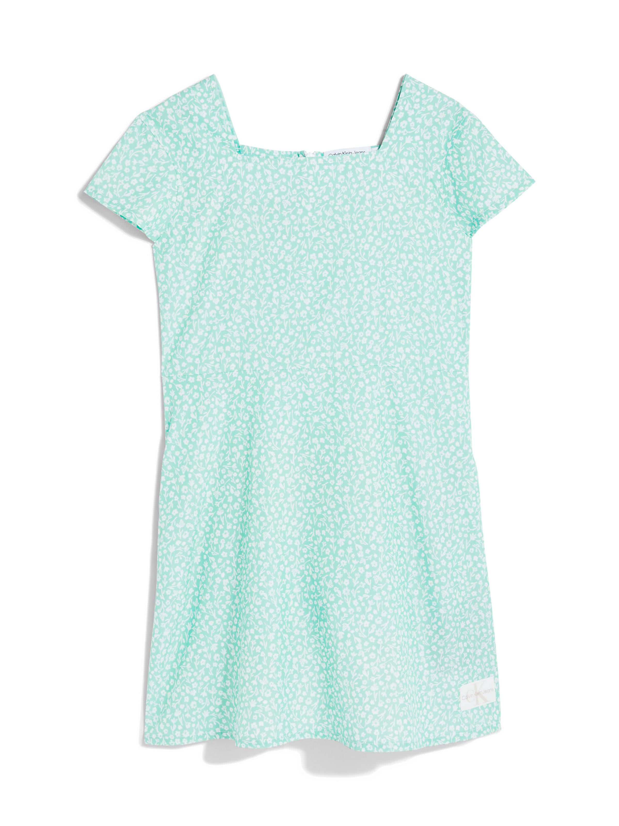 Robe Calvin Klein Jeans en vert : devant