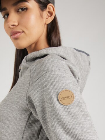 ICEPEAK Functionele fleece jas 'MILLRY' in Grijs