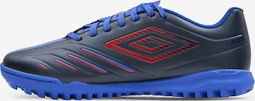 Chaussure de foot 'Tocco VI Team' UMBRO en bleu : devant