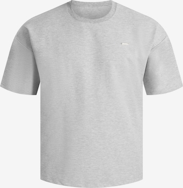 T-Shirt ' Thiago ' Smilodox en gris : devant