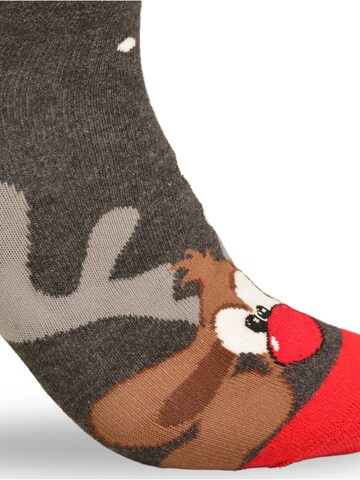 Lee Cooper Sokken 'Weihnachtssocken' in Gemengde kleuren