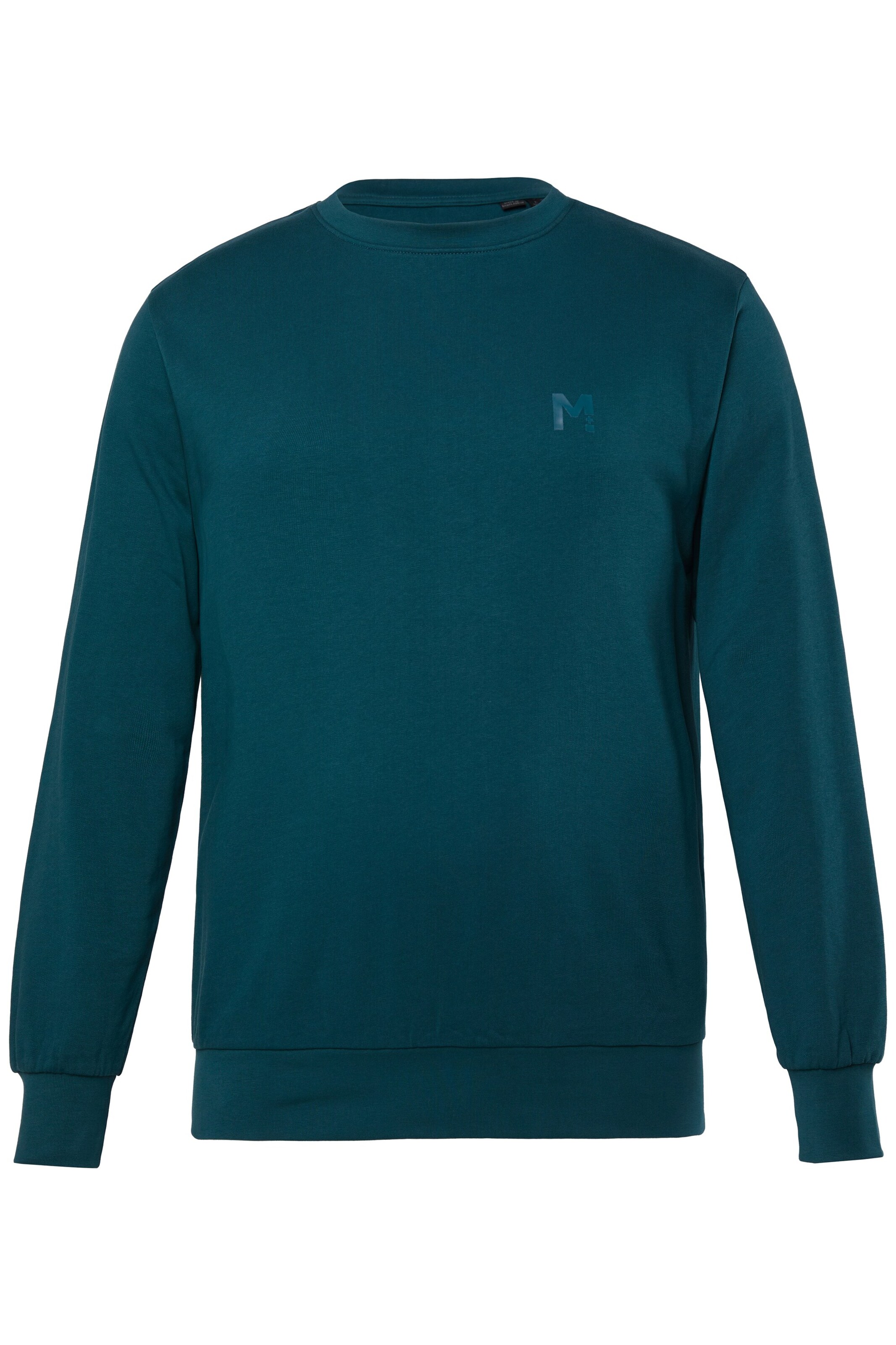 Men Plus Sweatshirt in Grün: Vorderseite