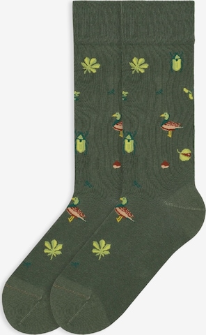 Von Jungfeld Socks 'Herbst ICONS' in Green: front