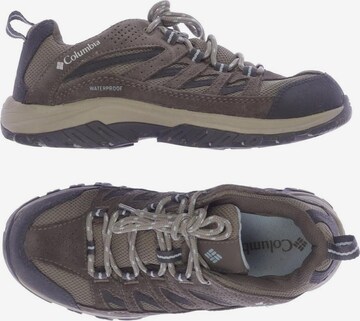 COLUMBIA Sneakers & Trainers in 38 in Brown: front