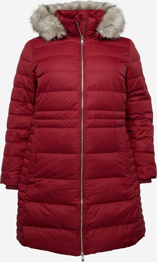 Tommy Hilfiger Curve Manteau d’hiver en gris / rouge cerise, Vue avec produit