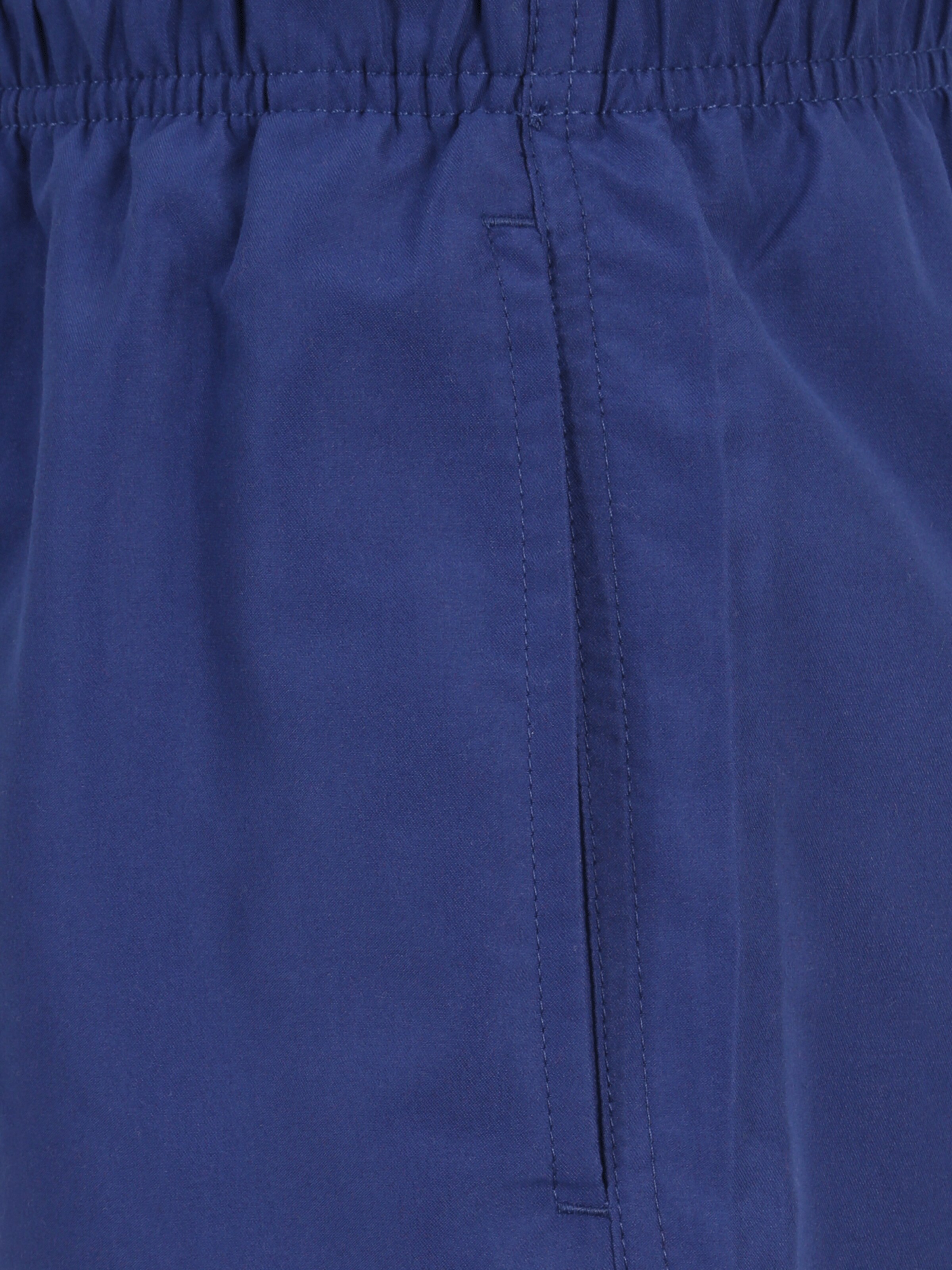 jbs Badeshorts in Blau