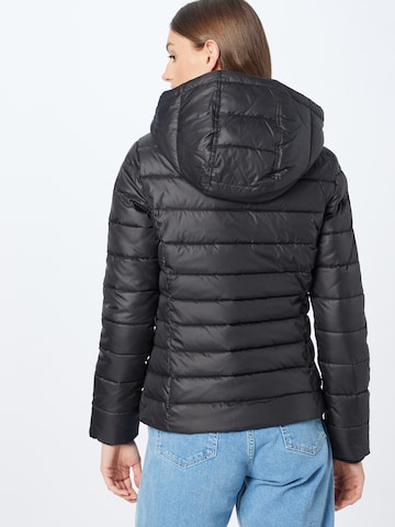 Tommy Jeans Winter Jacket in Black