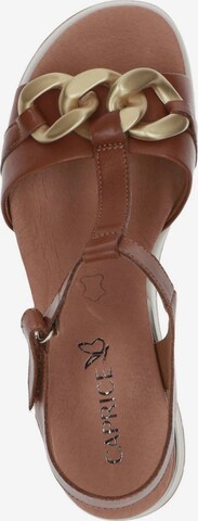 CAPRICE Sandals in Brown