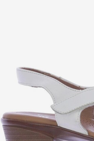ARA Sandals & High-Heeled Sandals in 36,5 in White