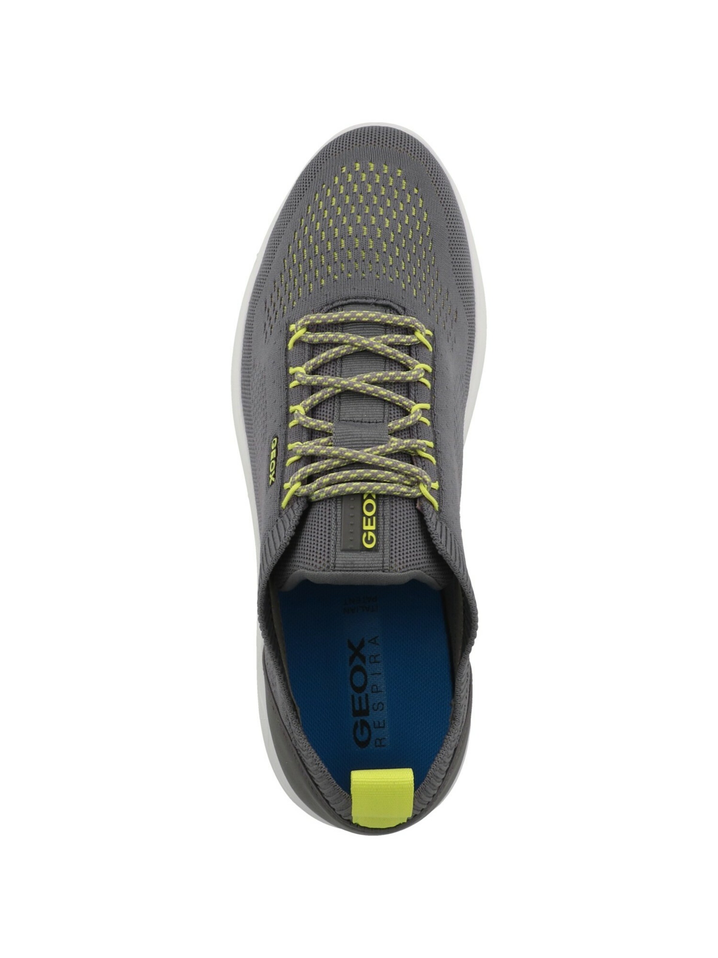 GEOX Σνίκερ χαμηλό 'Spherica' σε γκρι