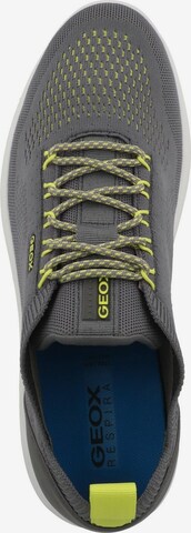 GEOX Sneakers laag 'Spherica' in Grijs