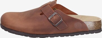 DR. BRINKMANN Clogs 'Nerpio' in Bruin: voorkant