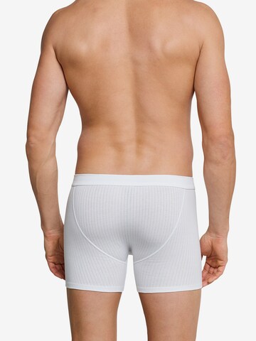 SCHIESSER Boxer shorts 'Authentic' in White