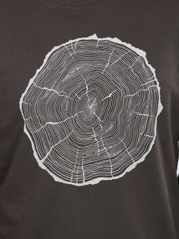 Life-Tree Shirt 'Fairwear BigSlice' in Grey