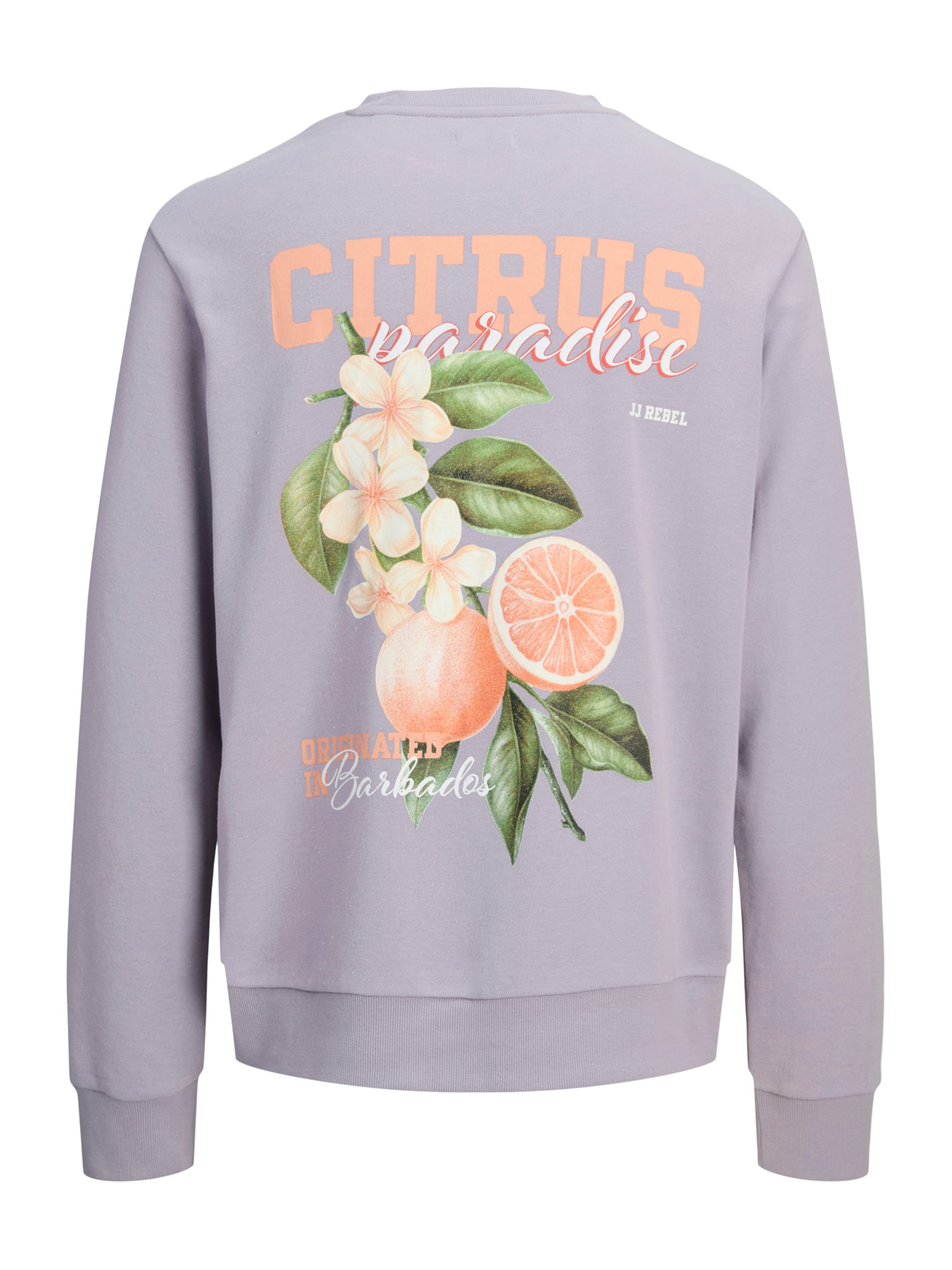 JJ Rebel - Sweatshirt 'JREBAARON' em roxo