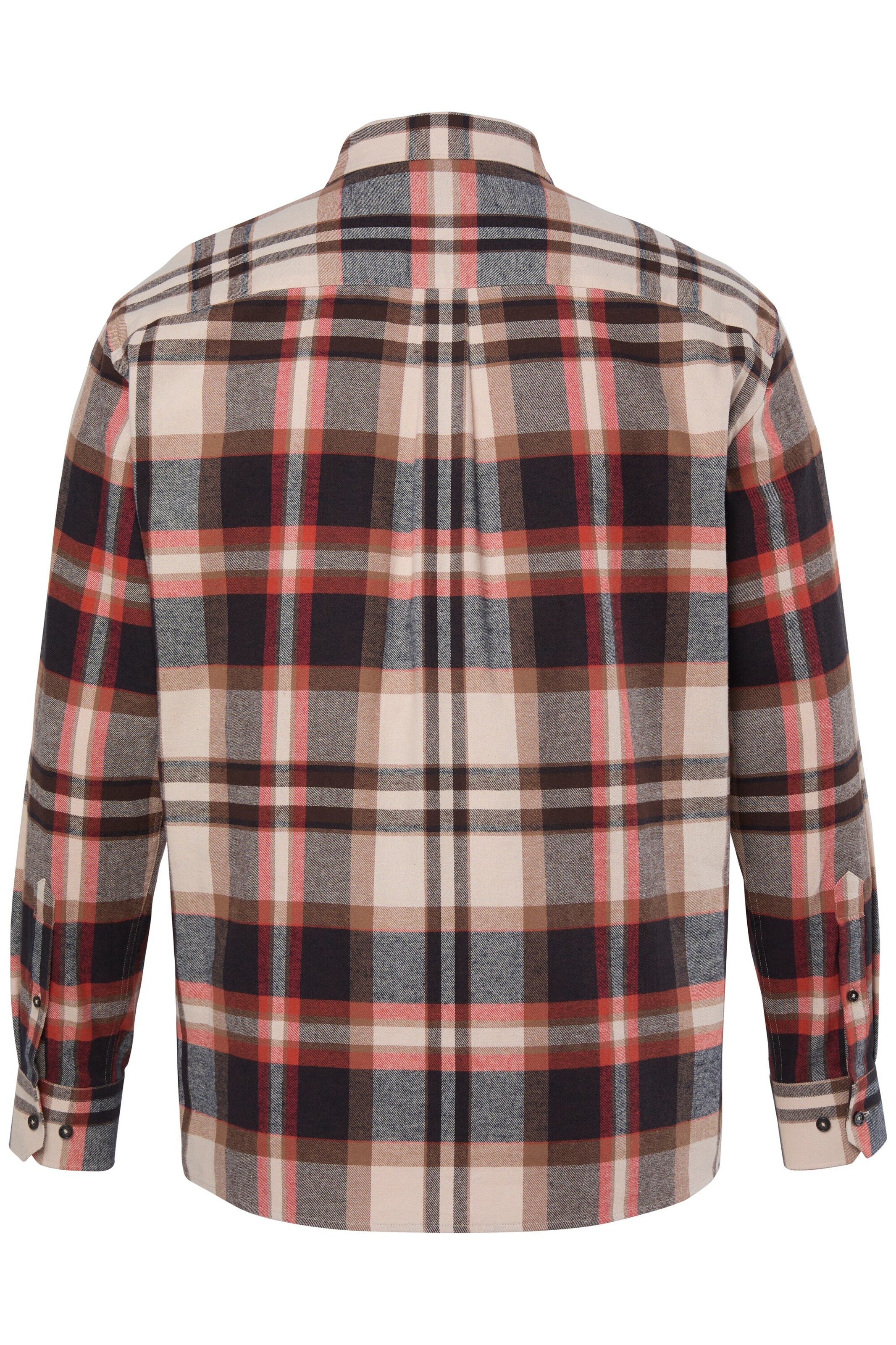 Men Plus Regular fit Overhemd in Gemengde kleuren