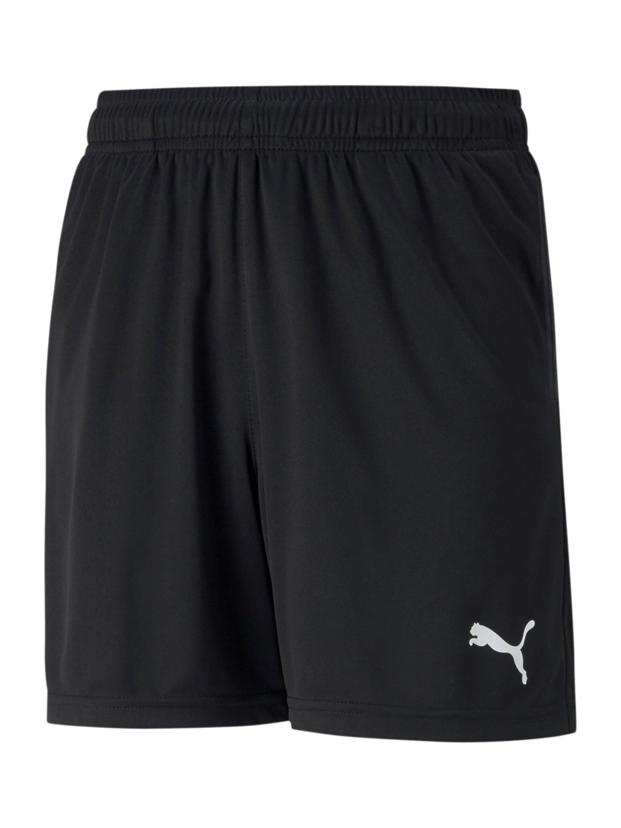 melns PUMA Standarta Sporta bikses 'Teamrise': no priekšpuses