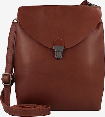 Harold's Umhängetasche in Braun: Vorderseite