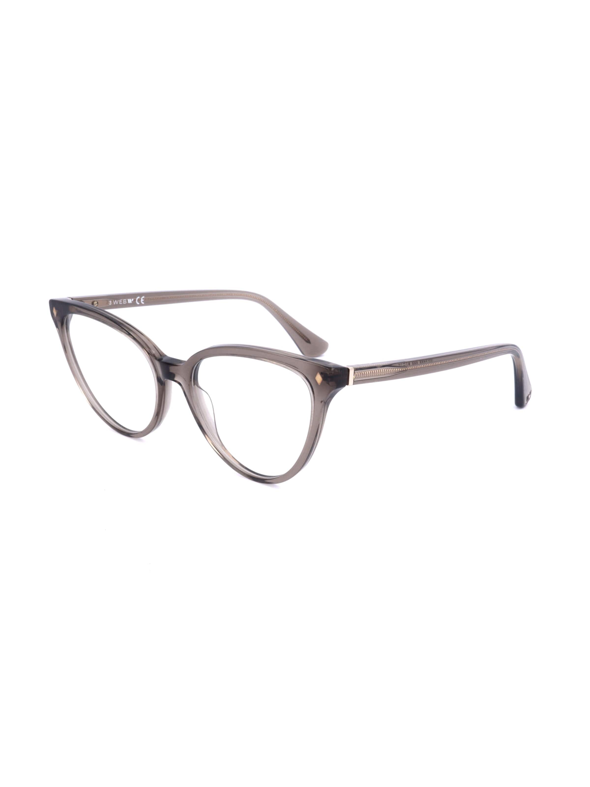 Occhiali 'WE5388' di Web Eyewear in marrone: frontale