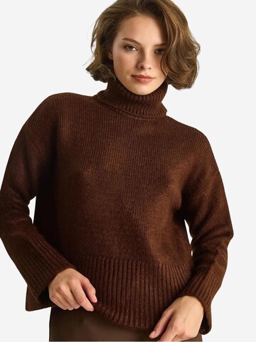 Bianco Lucci Sweater in Brown: front