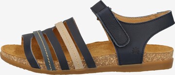 EL NATURALISTA Sandals in Blue