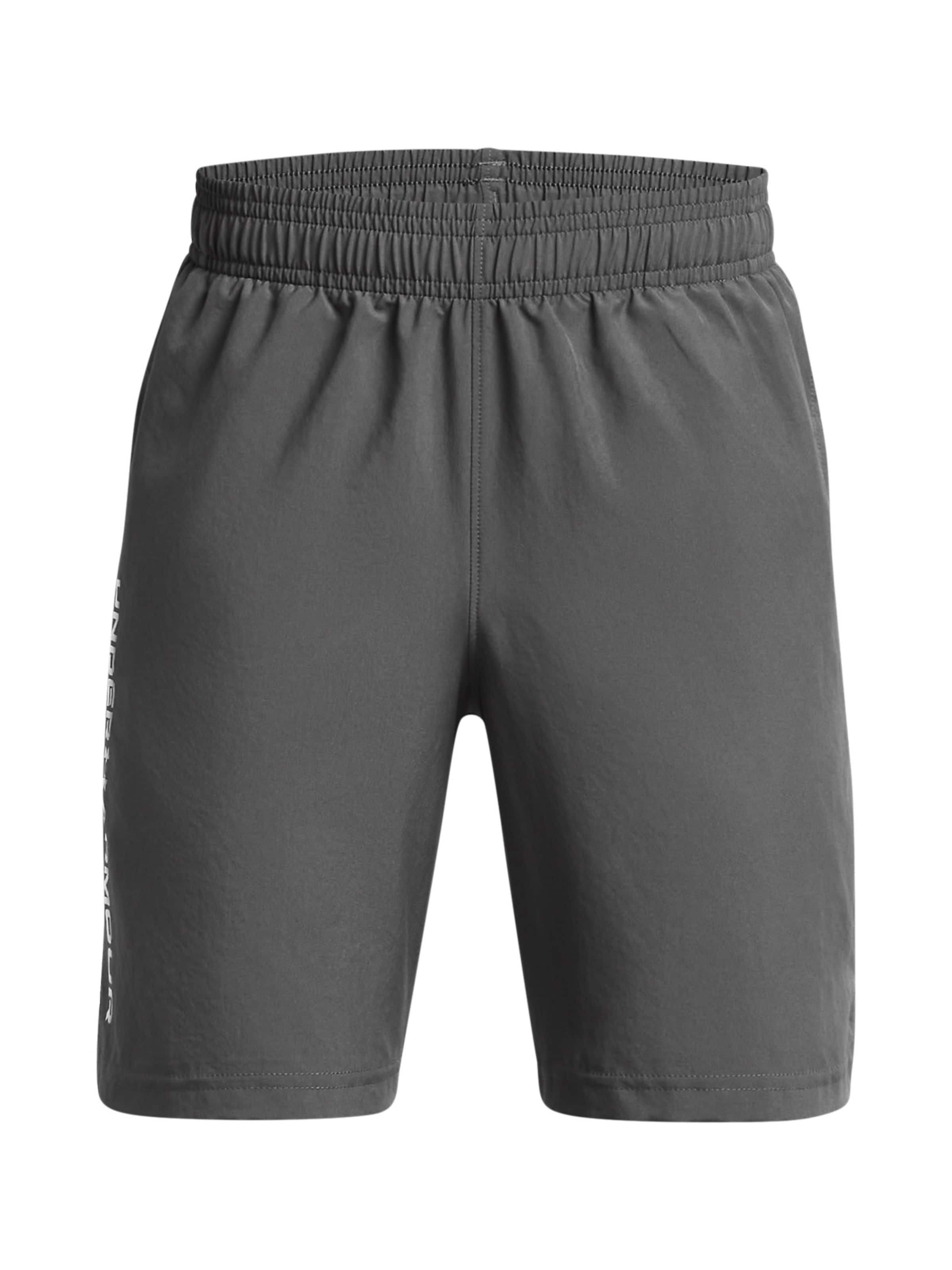 UNDER ARMOUR Workout Pants in Grey: front