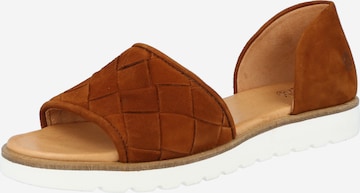 Apple of Eden Sandals in Brown: front