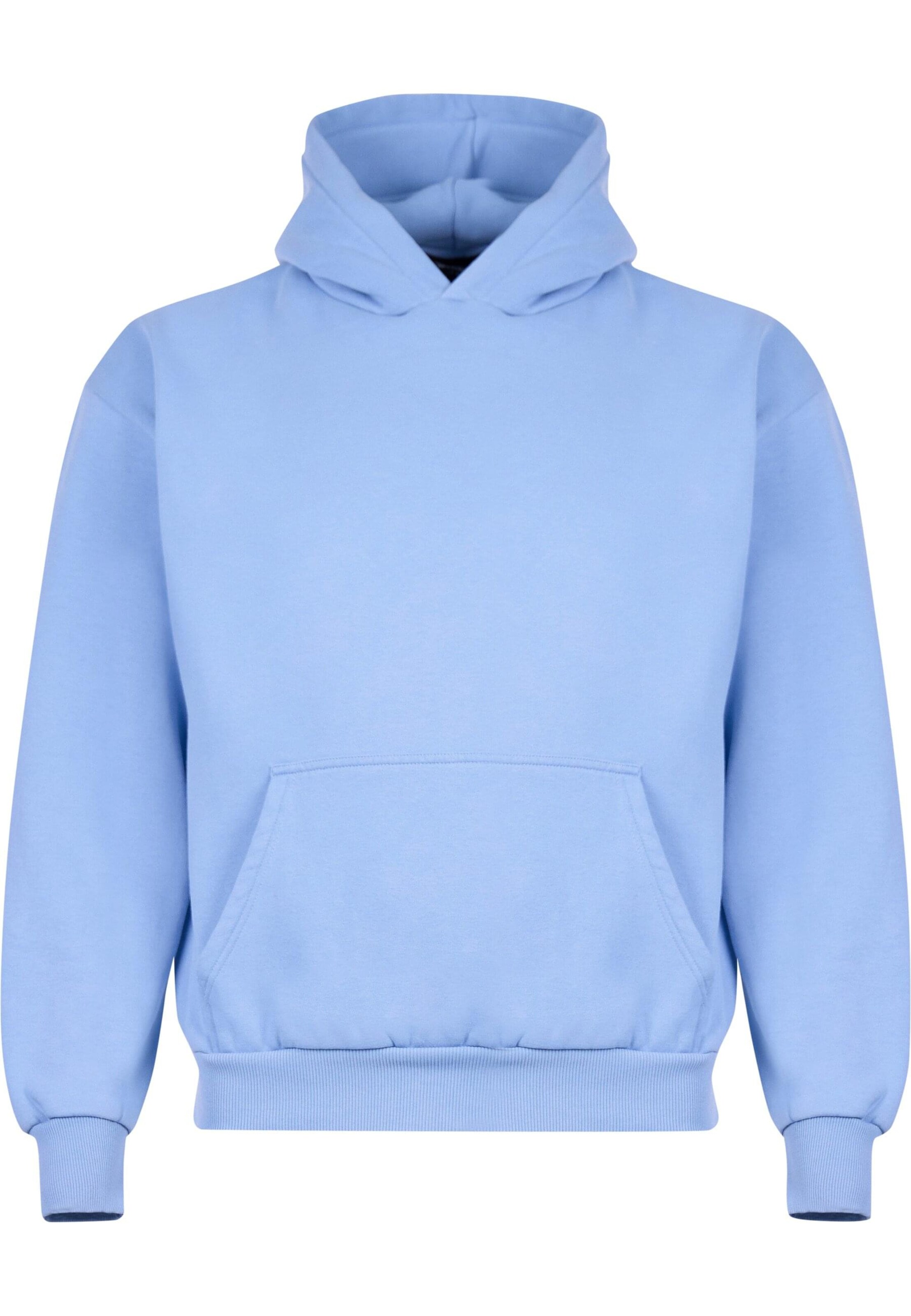 Sweat-shirt 'Embo' Dropsize en bleu : devant