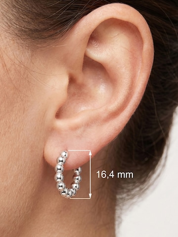 Jobo Earrings in Silver