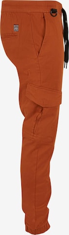 SOUTHPOLE Tapered Cargobroek in Bruin