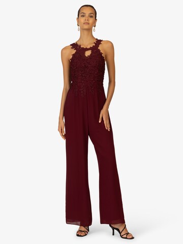 Kraimod Jumpsuit in Rot: predná strana