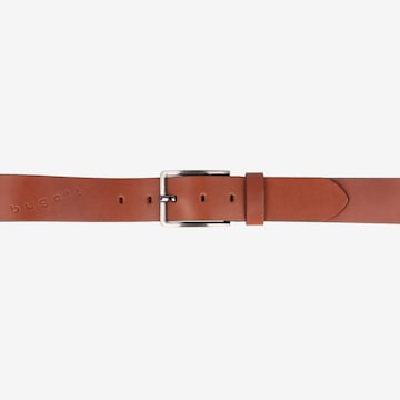 bugatti Belt in Brown