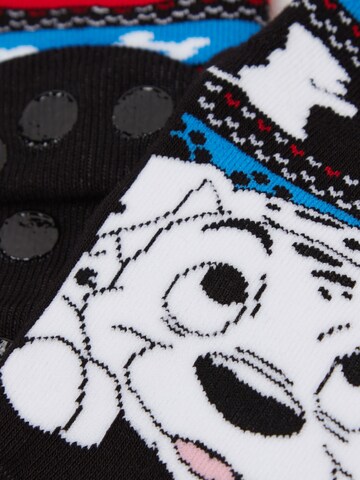 INTIMISSIMI Socken 'DISNEY 101 DALMATIANS' in Schwarz