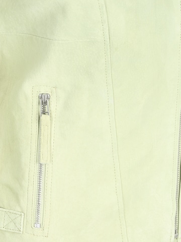 FREAKY NATION Prehodna jakna | zelena barva