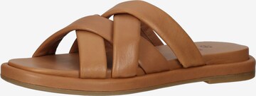 ILC Mules in Brown: front