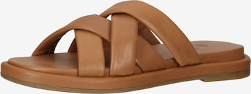 ILC Mules in Brown: front