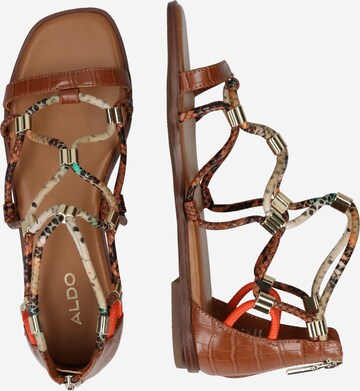 ALDO Strap Sandals 'OCCERAN' in Brown