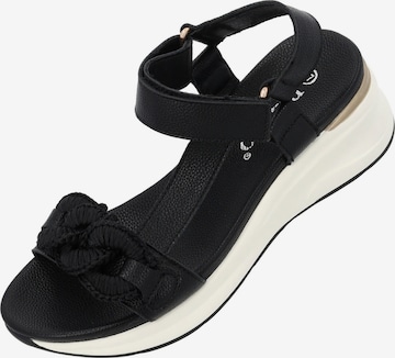 Palado Sandals 'Palado Gyapon' in Black: front