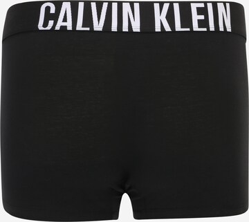 Calvin Klein Underwear Plus Boxerky - Sivá