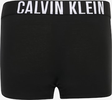 Calvin Klein Underwear Plus - Calzoncillo boxer en gris